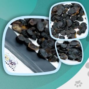 All Natural Dehydrated Chicken Spleen Cats and Dogs treats  by Chewpawpuffs