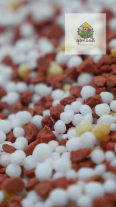 ปุ๋ยแบ่งขาย สูตรเสมอ 15-15-15 เร่งการเจริญเติบโตของต้น ใบ ดอก และผล อย่างสม่ำเสมอ