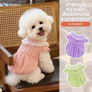 Hadassah | Pretty New Thin Summer Pet Dress