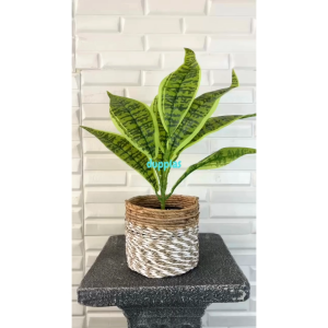 Pohon Plastik Tanaman Artificial Lidah Mertua Hijau X9 Semilatex Cover Pot Seagrass Coklat Mini Dekorasi Meja Ruang Tamu