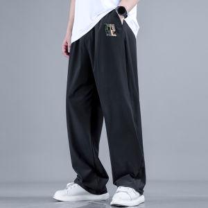 CHAOLIUKE | Large Size Thin Summer Trousers Plus Size