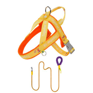 FENGCAO | Anti-escape Harness Leash