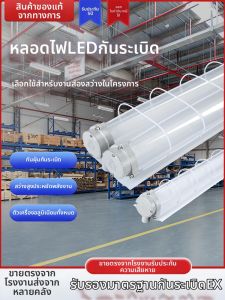 Yaming | Emergency Explosion-Proof LED Light 1.2m