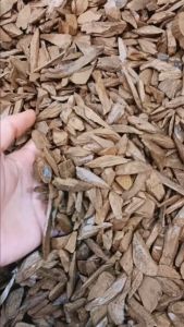 ASALAH Kayu Gaharu Murni | MAROKI TERI