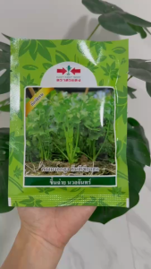 ขึ้นฉ่าย คื่นฉ่าย นวลจันทร์ ขนาด 50กรัม ตราศรแแดง ความงอกสูง ต้นสีเขียวสด เมล็ดผัก เมล็ดพันธุ์ เมล็ดพันธุ์ผัก