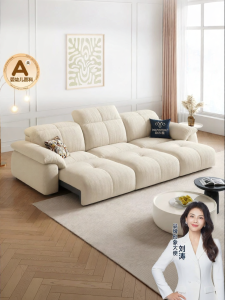 Pashaman | Electric Reclining Sofa Bed Zero Wall Foldable Cat Proof Fabric