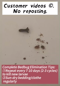 Bed Bugs Spray Effective Killer 500 ML bed bugs remover odorless anti surot