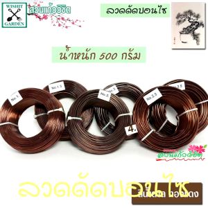 ลวดดัดบอนไซ เบอร์ 3.5 น้ำหนัก 500 กรัม ใช้ดัดกิ่งต้นบอนไซ เข้าลวดดัดกิ่งต้นบอนไซมีหลายขนาดให้เลือก ส่งฟรี