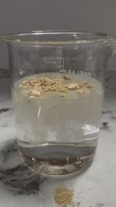 BETAGLUCAN 29% (Bao 25kg) - YEAST CELL WALL