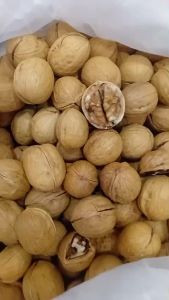 Kacang Walnut Utuh Panggang / Roasted Walnut