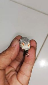 Soft frog 3D model thailand HUNTER