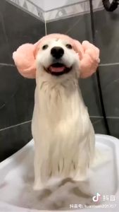 PAW HERO Pet Silicone Massage Bath Brush: A Gentle Skin Baby Bath Solution