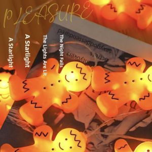 PAIMIJI | Christmas Decoration String Lights