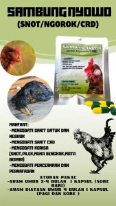 SAMBUNG NYOWO SASET 10 KAPSUL - snot/ngorok/crd