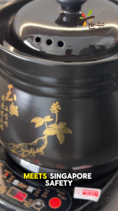 Sai Hing Traditional Chinese Casserole Ceramic Decoction 4.5L Pot with Automatic Cooker