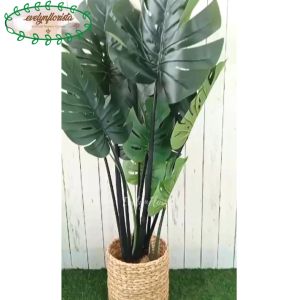 Pohon Hias Imitasi Monstera T120 Latex Cover Eceng Gondok Hiasan Studio Aesthetic