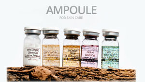 12 Bottles Mesowhite Serum BB Glow Wrinkle Removal Face Lifting SALMON DNA Gold Ampoule Microneedling Skincare