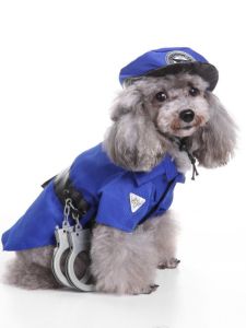 Halloween Quần Áo Thú Cưng Ông Già Noel Chó Mèo Quần Áo Bí Ngô Biến Đổi Phù Thủy Trang Phục Cho Chó Mèo Thoải Mái Váy Phong Cách