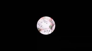 UMI Candy Ball Tin Metal Iron Box Wedding Party Birthday Favour Goodies Candies Gift Bekas Kotak Gula Kahwin bekas hadiah