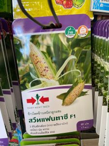 ข้าวโพด สวีทแฟนตาซีF1