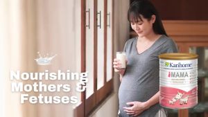 KARIHOME MAMA GOAT MILK POWDER 400GR / SUSU IBU HAMIL & MENYUSUI / SUSU KAMBING / FOR PREGNANT & LACTATING MOTHERS