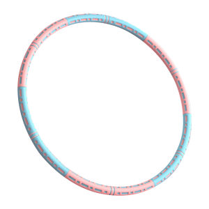 【HOSPORT】1 ชิ้นสแตนเลสที่ถอดออกได้ Sport Hoops การออกกำลังกายการออกกำลังกายห่วงถ่วงน้ำหนักที่ถอดออกได้ห่วงออกกำลังกายสำหรับผู้ใหญ่【1-3 วันจัดส่ง】