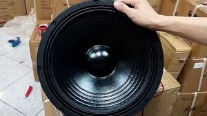 Tsunami Storm Live 15 at 7K 15 inch Dual Magnet 65mm V.Coil 700W Speaker