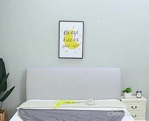 Singapore SellerFast Delivery Bed Headboard Cover
