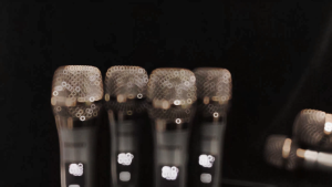 RAYHAYES 8 Channel UHF Wireless Microphone RS-805 Professional for Singing Karaoke Meeting Party