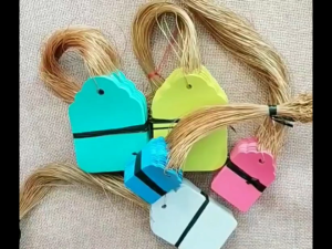 200pcs Waterproof Plant Hanging Tags with StringPlastic Reusable Labels Hanging Marking Tags