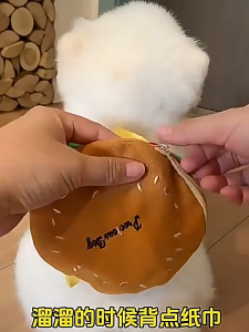 BABYPET ชุดสายรัดอกสัตว์เลี้ยงพร้อมกระเป๋าแฟนซี น้ำหนักเบา ระบายอากาศดี กระชับพอดี ใส่แล้วน่ารักมาก