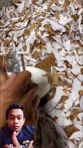 PISAU KUPAS KULIT ARI KELAPA/ KULIT KETELA BAHAN BAJA KWALITAS TERBUKTI