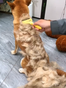 Lược chải lông rối - chuyên về gỡ rối lông dành cho chó mèo - T3 PETS SHOP