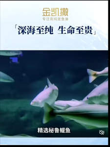 OMEGOR 95% High Purity Deep Sea Fish Oil Omega 3 EPA&DHA 1000mg Softgel Adult Cardiovascular for Heart Health ProductReduct high Blood Pressure