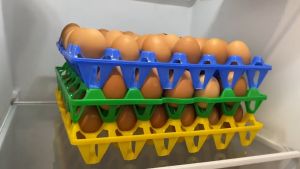 Plastic Egg Tray / Egg Storage 30 Pcs Dulang Telur Plastik Papan Sarang Telur Plastik 鸡蛋托盘