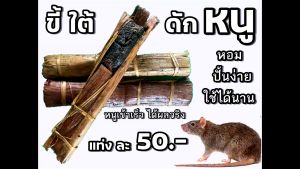 ขี้ใต้ ดักหนู เนื้ออ่อน เหนียว หอม ปั้นง่าย เหยื่อดักหนู กลิ่นหอม ใช้ได้นาน