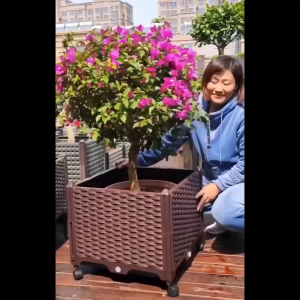 Chậu Nhựa Lắp Ghép Trồng Cây Trồng Rau Sạch Siêu Đẹp Và Tiện Lợi