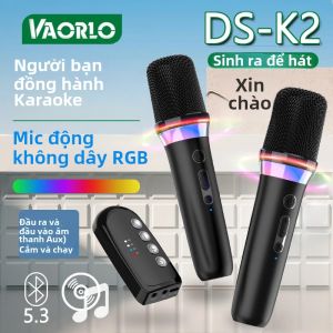 DS-K2 Bluetooth 5.3 Micro Năng Động Không Dây Có Đèn RGB KTV DSP Hệ Thống Trộn 3.5Mm Aux Loại C Bộ Khuếch Đại Cho Karaoke Đồng Hành