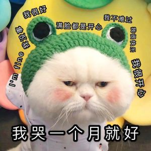 Phấn Mắt Khối Màu Hoàn Thiện Dạng Bột Faiccia Matte Single Color Eyeshadow 32g Dụng Cụ Trang Điểm Làm Đẹp Cho Mọi Loại Da