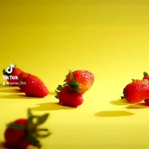 3F Food Dried Soft Strawberries In Ziplock Pouch (Organic No Sugar Added ) Healthier Dry Snacks
