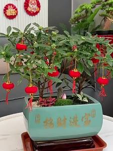 Festive Red Velvet Lantern for Decoration