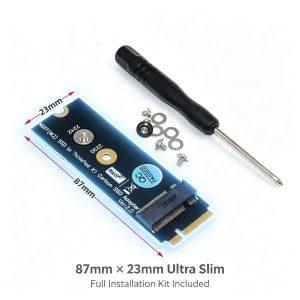 T.F.SKYWINDINTL(TFSKYWINDINTL) | M.2 NGFF SATA-Bus KEY B SSD HDD Adapter Raiser 20 + 6 Pin SSD Converter Card for Lenovo Thinkpad X1 Carbon Support 2230 2242 M.2