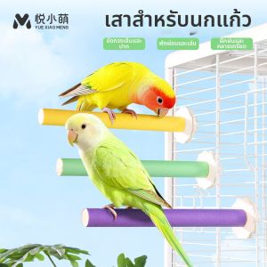YUEXIAOMENG | Bird Teasing Toy with Beak and Claw Grinding Perch