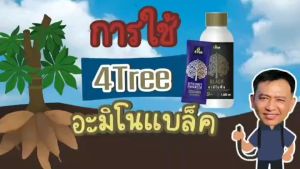 20 ชุด โฟร์ทรีชูดระเบิดหัวมัน 1 ชุด แบลคควดลิตร + 3 ชุด โฟร์ทรีสองซอง ชุดเพิ่มแป้ง สูตรลดต้นทุนเพิ่มผลการลิทีลับ