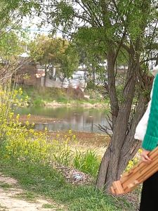 ผลิตจากเนื้อไม้บีช ผลิตจากเนื้อไม้สวยและคุณภาพดี Beech wood Project Easel - ขาตั้งภาพ ขาตั้งรูป ปรับขนาดได้ พับเก็บได้ ง่ายต่อการพกพา