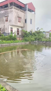 Vó Dù Nhật Bản Cao Cấp Đan Tay Siêu Bền Chống Rách Chuyên Kéo Cá Lớn Size Lớn 3m-4m Mắt 3cm 4cm Chemeng Store