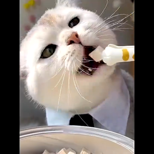 ขนมแมว ไก่ฟรีซดราย 520g อกไก่เต๋า ขนมสำหรับสัตว์เลี้ยงโปรตีนสูง ขนมเพื่อสุขภาพสำหรับแมวและสุนัข freeze dried แมว ขนมแมวฟรีซดราย