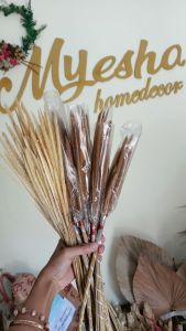 Sataria slancur | bunga kering | bunga rustic | dried flower