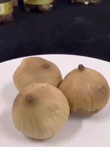 HAOSUANDAO | Fermented Black Garlic Single Head