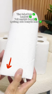【6 Rolls】Hearttex x Carina Kitchen Roll Paper 55s x 6 Rolls Kitchen Supplies Disposable Sturdy Dish Towels